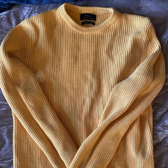 Zara Other - Zara sweater